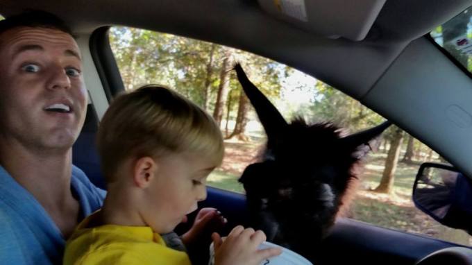 10612631_10101561252694247_279980953322052667_n